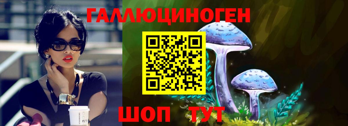 Нарткала  продажа наркотиков  Вход с VPN  Галлюциногенные грибы мухоморы 