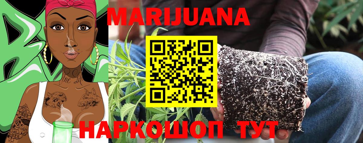 МАРИХУАНА индика  Бошки Шишки конопля  Канабис SATIVA & INDICA  Нарткала  Канабис Ganja  Вход с VPN 